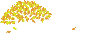 Servicii Funerare Besliu.
